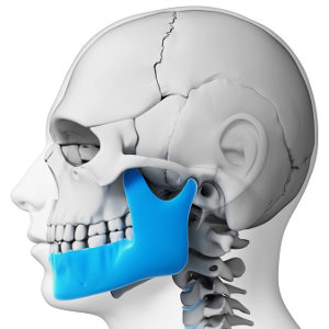 Articulación Temporomandibular (ATM)